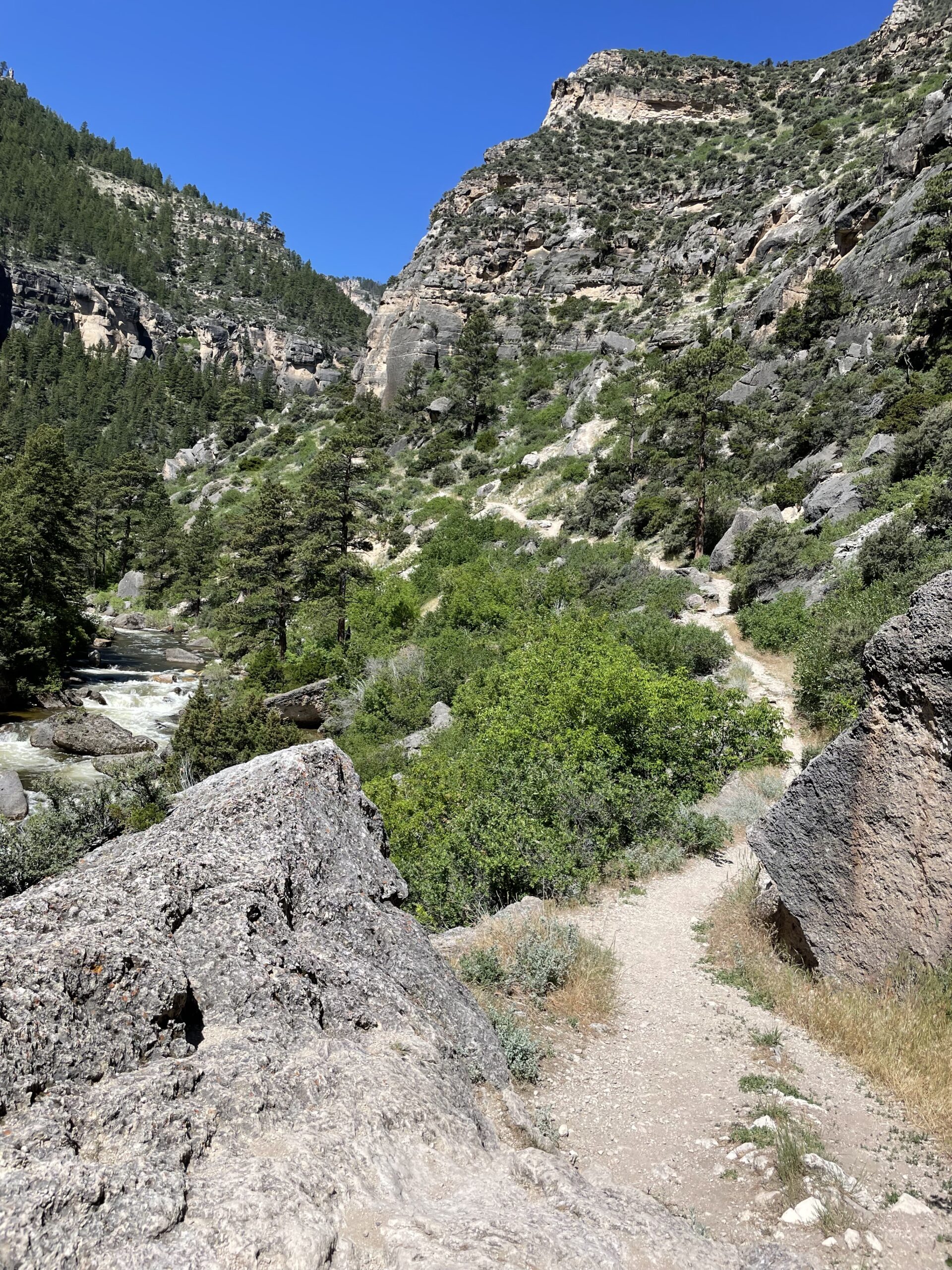 Hiking trail in Rocky Mountains